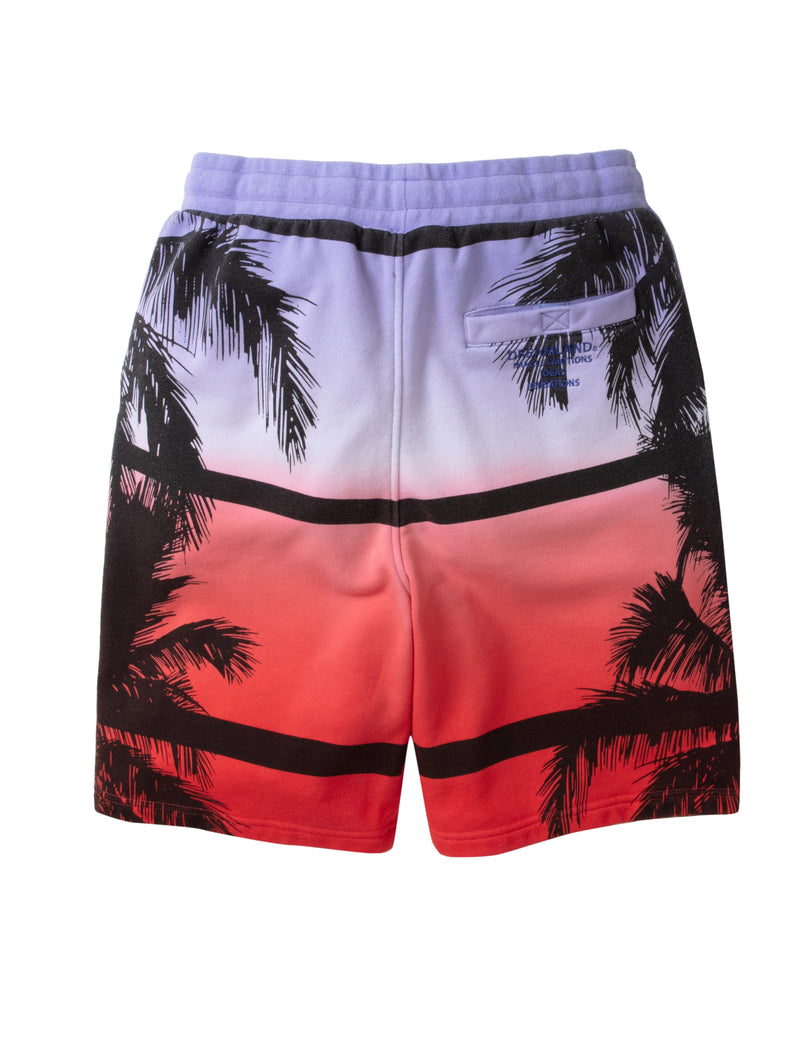 Cartel Dip Dye Shorts
